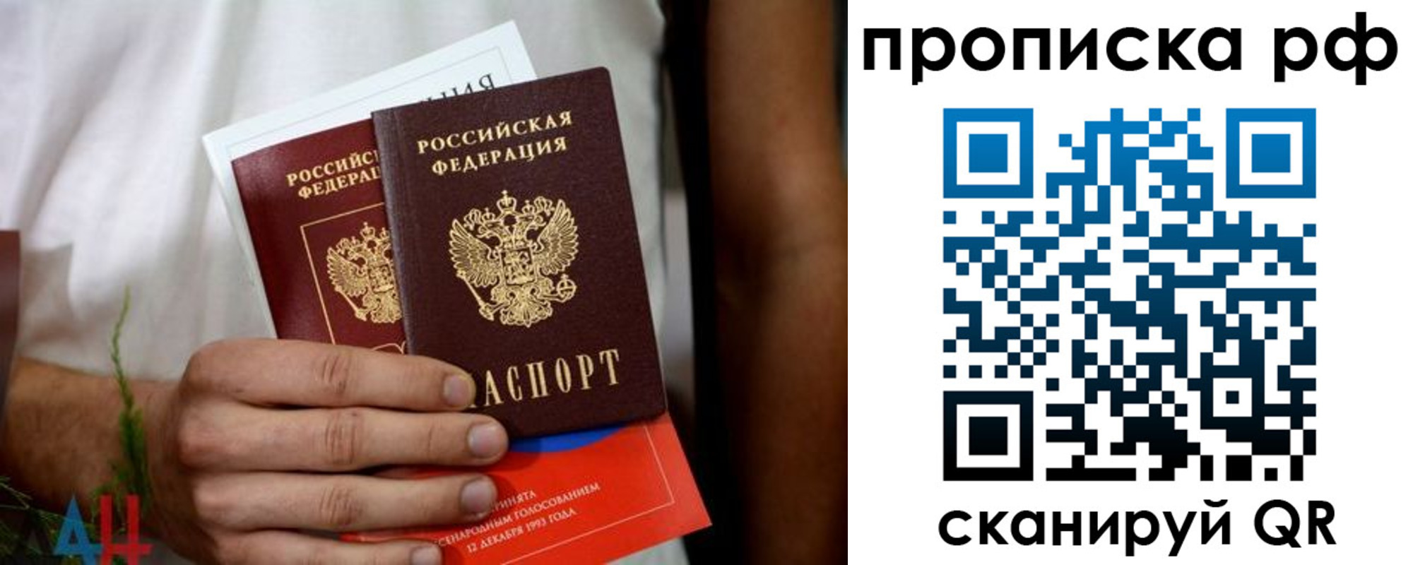 прописка паспорт в Оленегорске